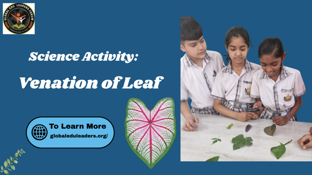 venation of leaf